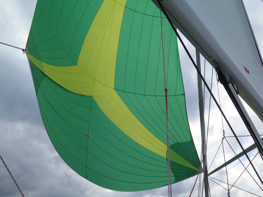 IMG_9547.jpg IMG_9547.jpg