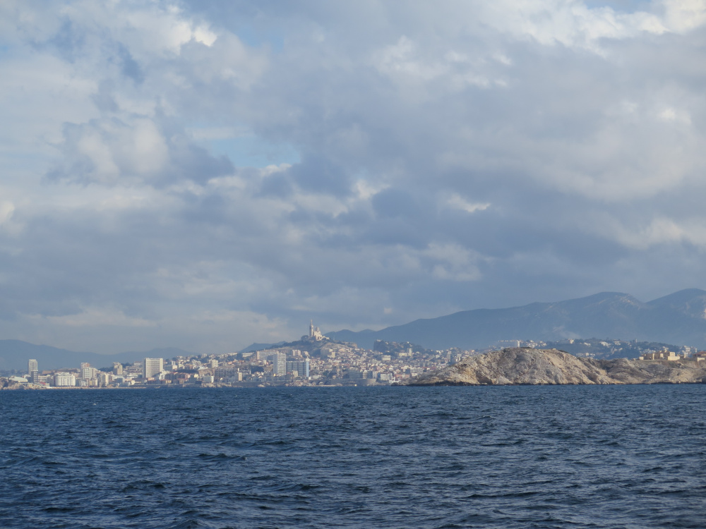 IMG_9561.jpg IMG_9561.jpg