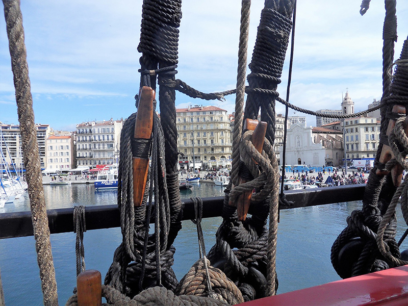 SDC13645-800.jpg