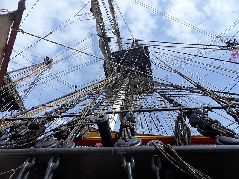 SDC13638-800.jpg SDC13638-800.jpg