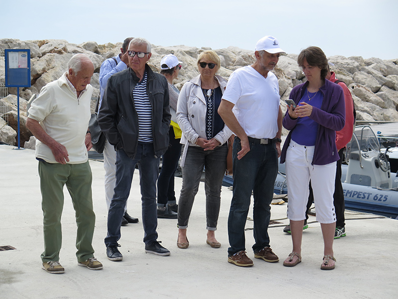 IMG_0870-800.jpg IMG_0870-800.jpg