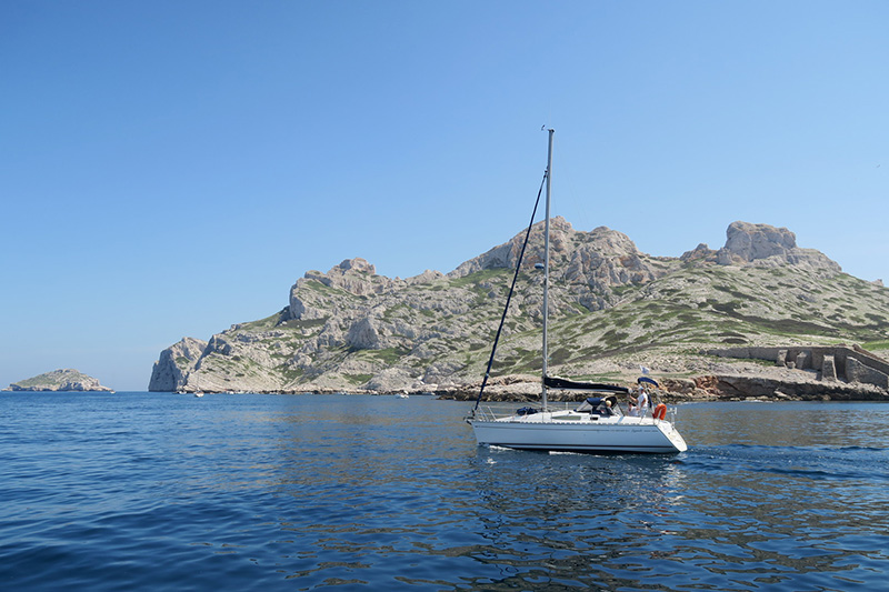 IMG_7403.JPG IMG_7403.JPG