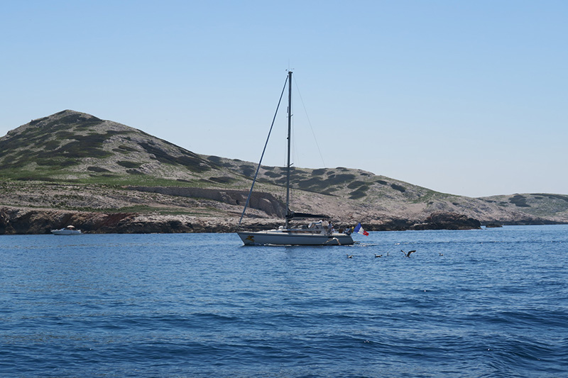 IMG_7408.JPG IMG_7408.JPG