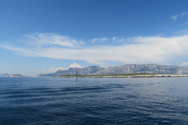 IMG_7410.JPG IMG_7410.JPG