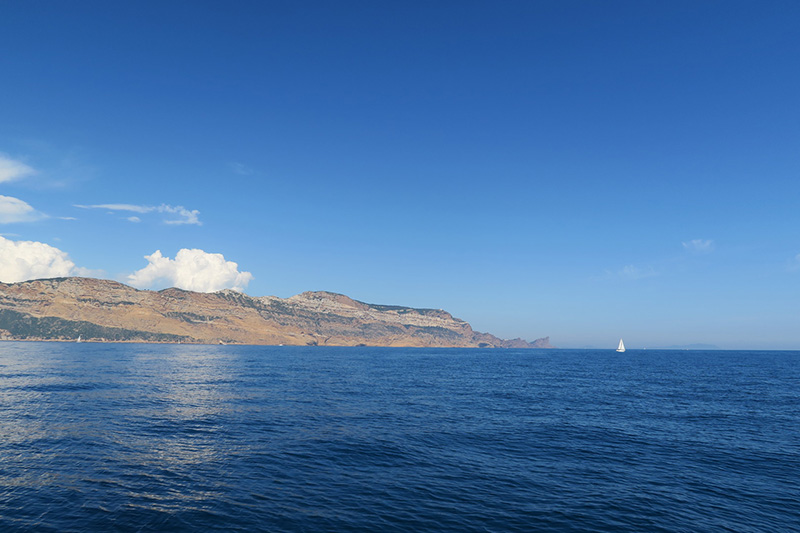 IMG_7416.JPG IMG_7416.JPG