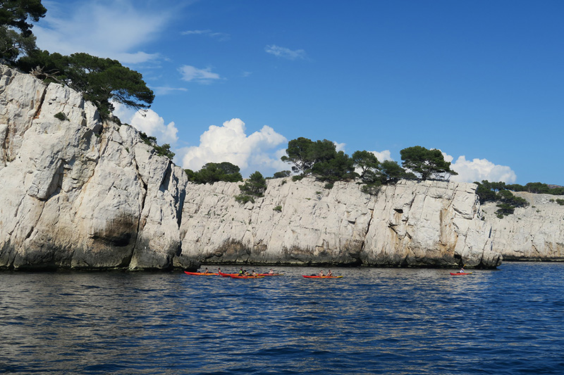 IMG_7431.JPG IMG_7431.JPG