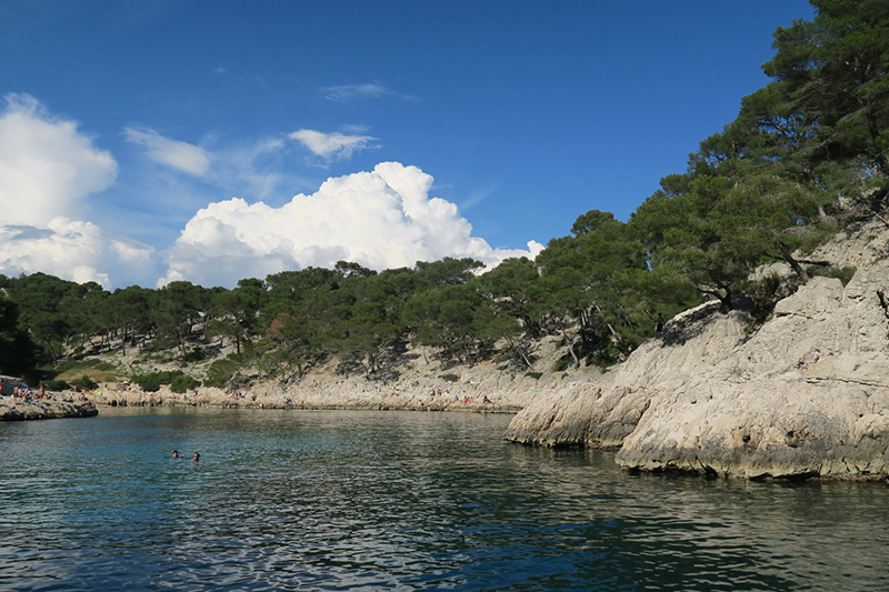 IMG_7432.JPG IMG_7432.JPG