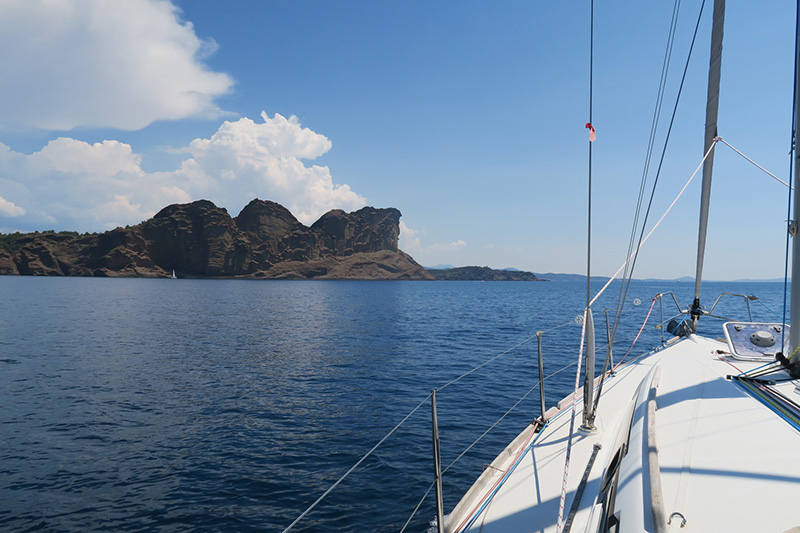 IMG_7445.JPG IMG_7445.JPG