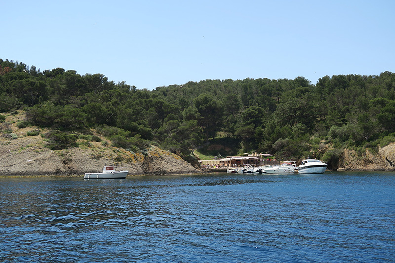 IMG_7458.JPG
