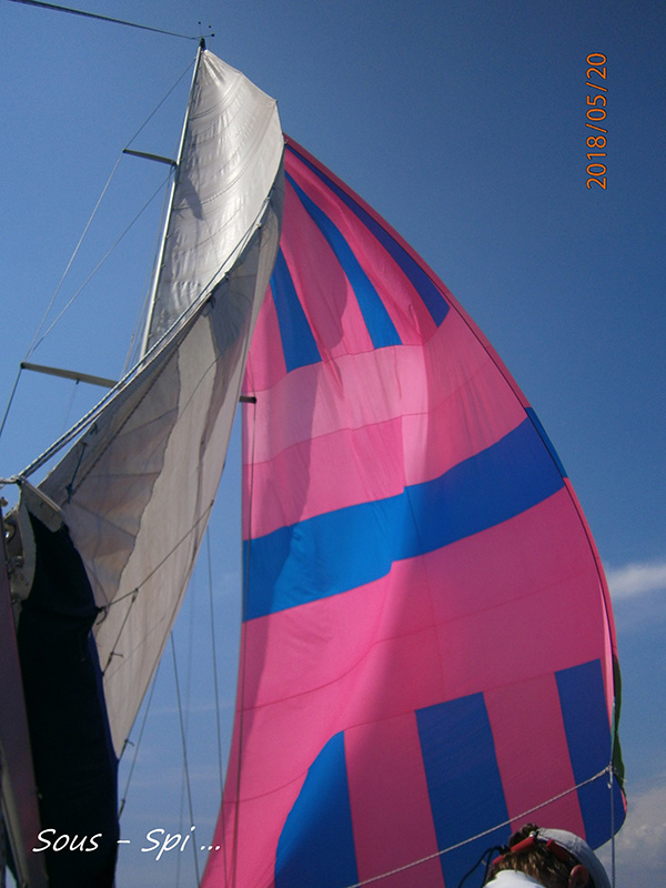 P5203353-800-600.jpg P5203353-800-600.jpg