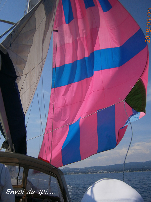 P5203352-800-600.jpg P5203352-800-600.jpg