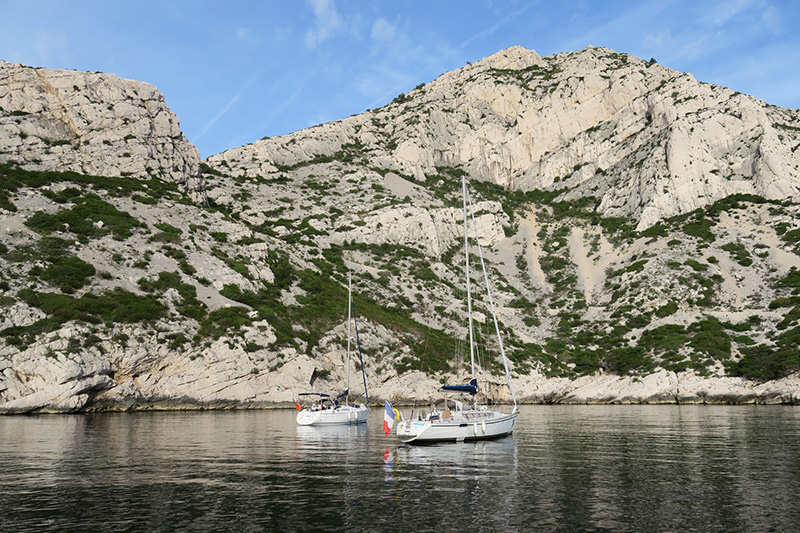 IMG_7515.JPG IMG_7515.JPG