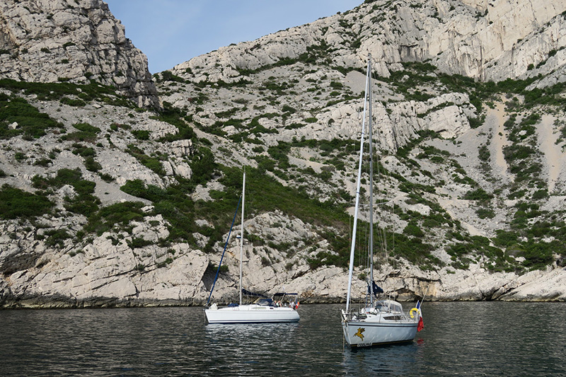 IMG_7517.JPG IMG_7517.JPG