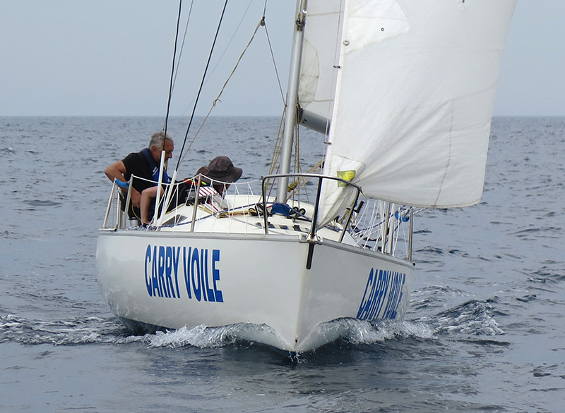 IMG_0917+05-800-600.jpg IMG_0917+05-800-600.jpg