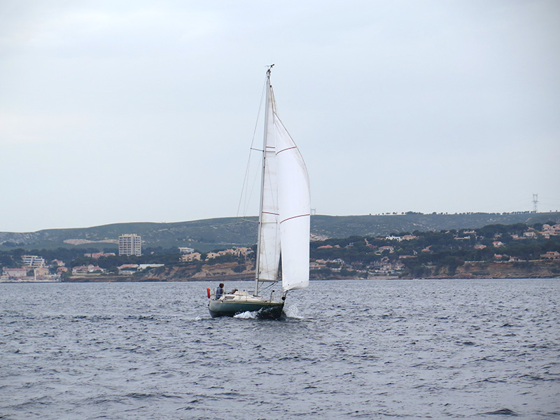 IMG_0899+1-800-600.jpg IMG_0899+1-800-600.jpg