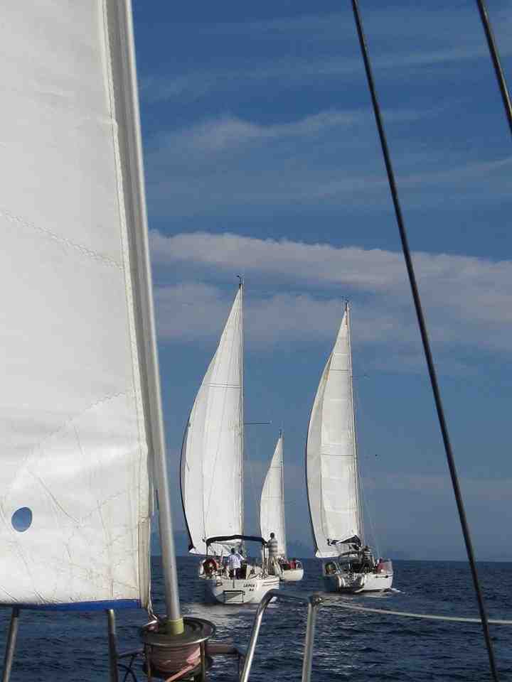 5 AU Les voiliers.jpg