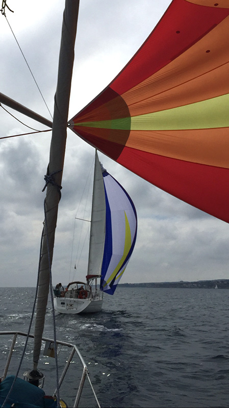 IMG_0729.jpg IMG_0729.jpg