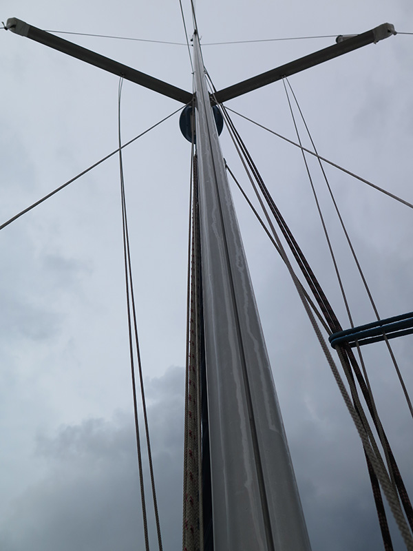 IMG_1045.jpg IMG_1045.jpg