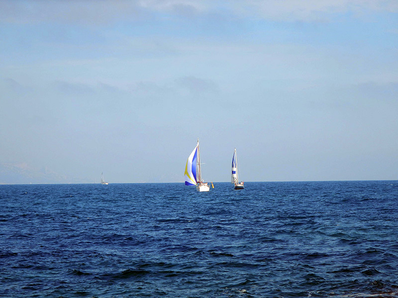 DSCN1658_01.jpg DSCN1658_01.jpg