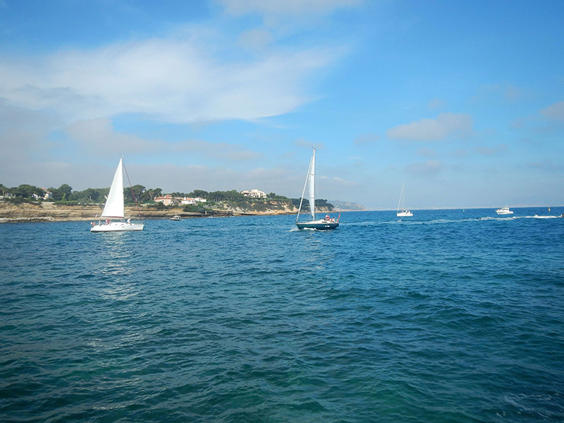 DSCN1661_01.jpg DSCN1661_01.jpg