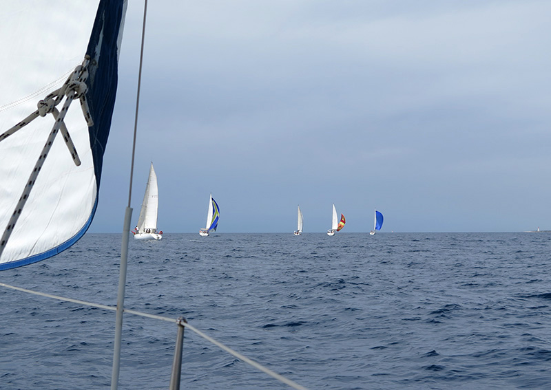 IMG_1053.jpg IMG_1053.jpg