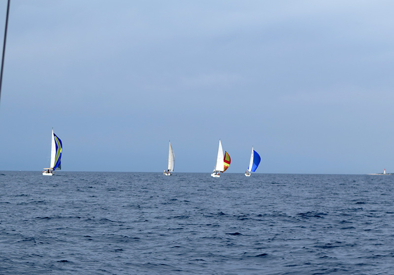 IMG_1054.jpg IMG_1054.jpg