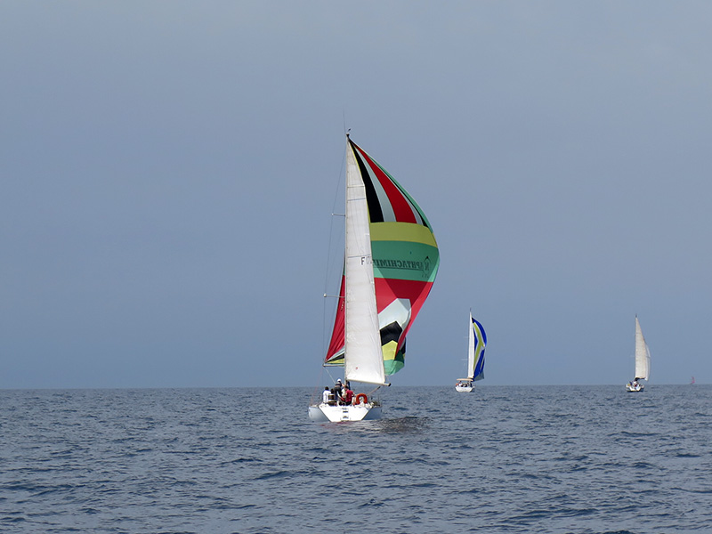 IMG_1064.jpg IMG_1064.jpg