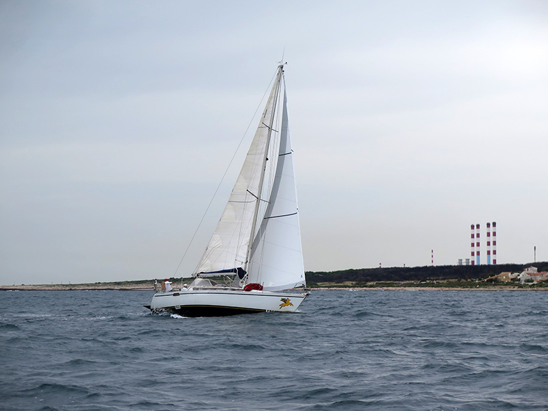 IMG_1073.jpg IMG_1073.jpg