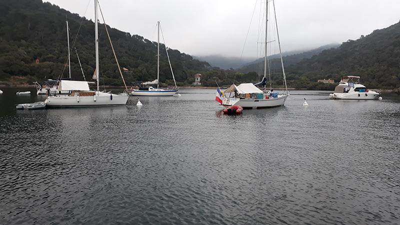 2018-07-03 06.20.17-800.jpg 2018-07-03 06.20.17-800.jpg