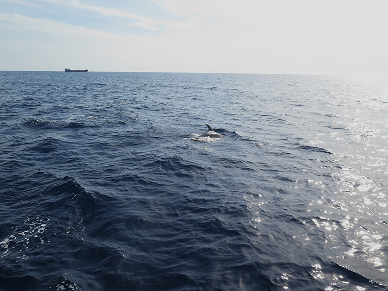 07-IMG_1841-800px.jpg 07-IMG_1841-800px.jpg