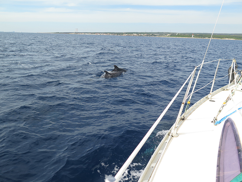 09-IMG_1834-800px.jpg 09-IMG_1834-800px.jpg