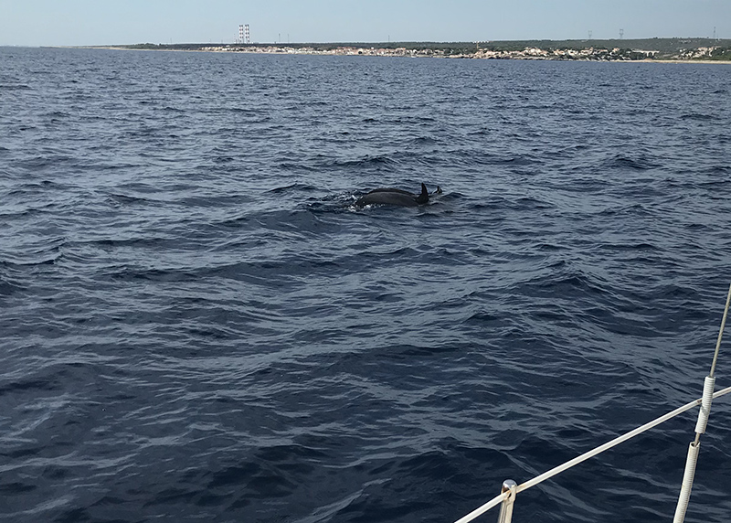 10-IMG_3721-800px.jpg 10-IMG_3721-800px.jpg