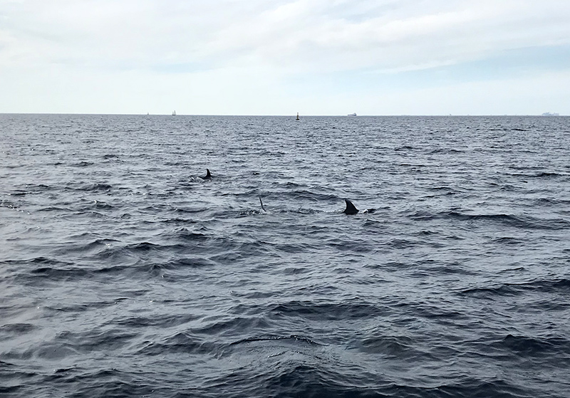 13-IMG_3726-800px.jpg 13-IMG_3726-800px.jpg