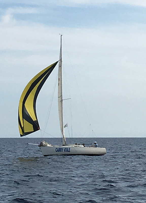 image00008-800px.jpg image00008-800px.jpg