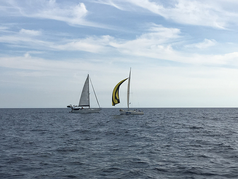 image00007-800px.jpg image00007-800px.jpg