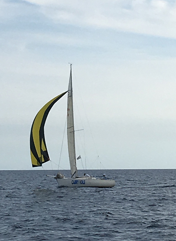 image00006-800px.jpg image00006-800px.jpg