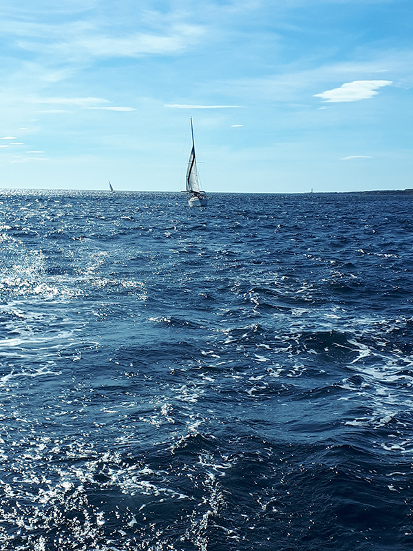 10-TariTere-2018-09-22.jpg 10-TariTere-2018-09-22.jpg