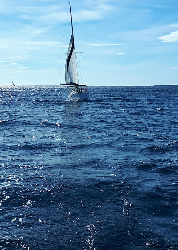 12-TariTere-2018-09-22.jpg 12-TariTere-2018-09-22.jpg