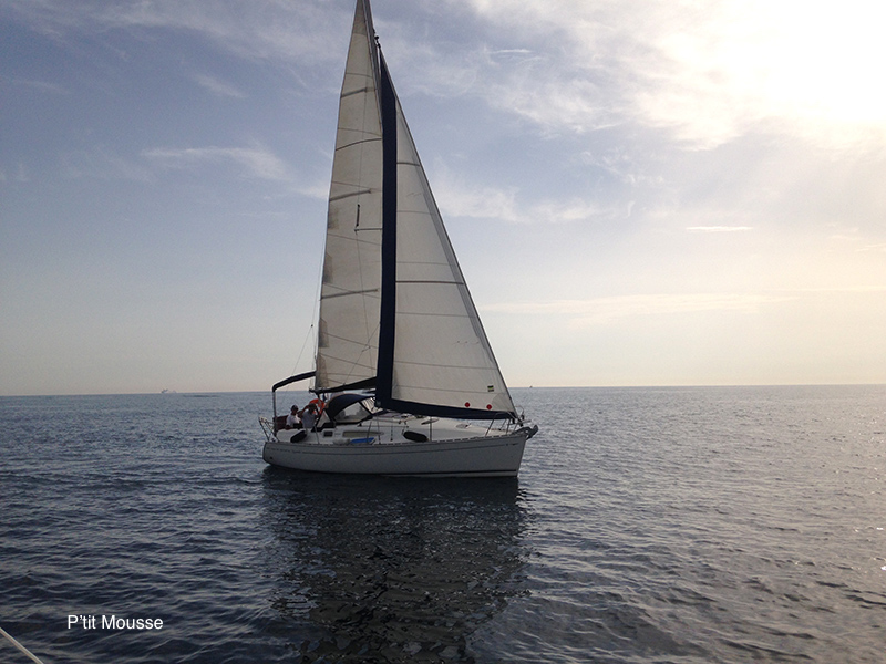 4-Ptit-Mousse3.jpg 4-Ptit-Mousse3.jpg