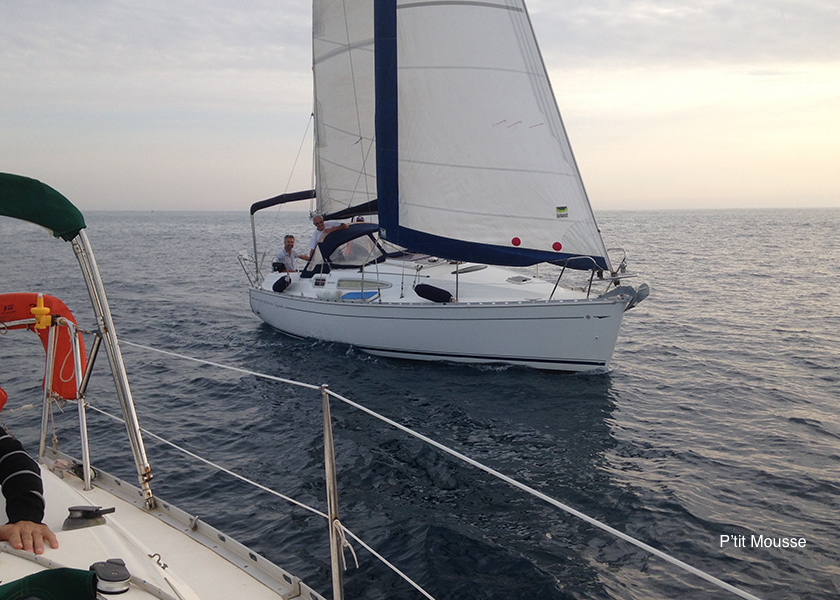 5-Ptit-Mousse2.jpg 5-Ptit-Mousse2.jpg