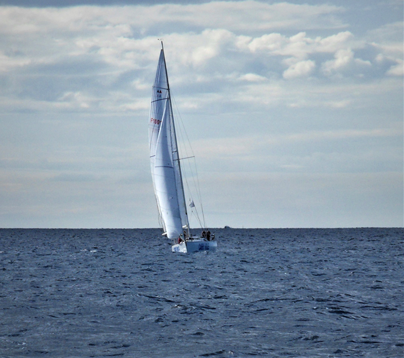 SDC15040.jpg SDC15040.jpg