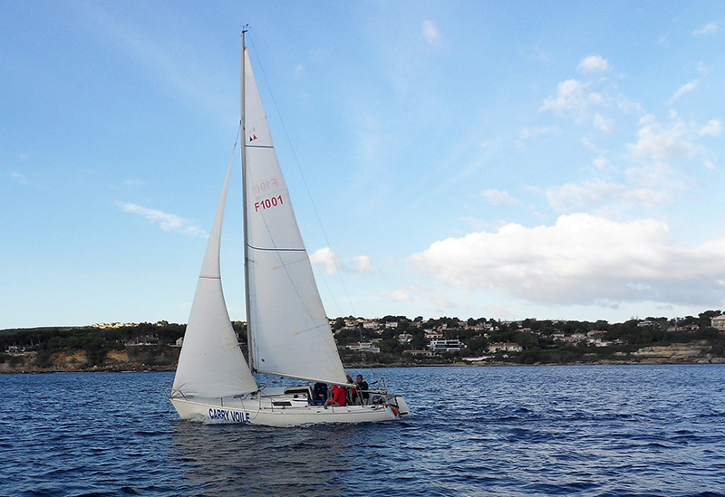 SDC15044.jpg