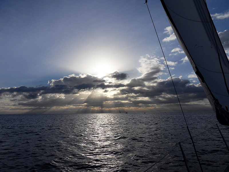 SDC15049.jpg SDC15049.jpg