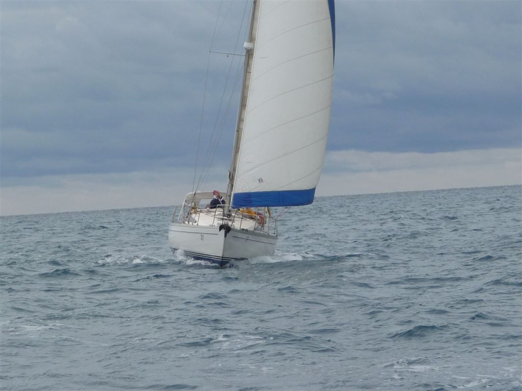 P1110899.jpg P1110899.jpg