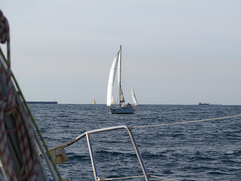 04-IMG_2359-web.jpg 04-IMG_2359-web.jpg