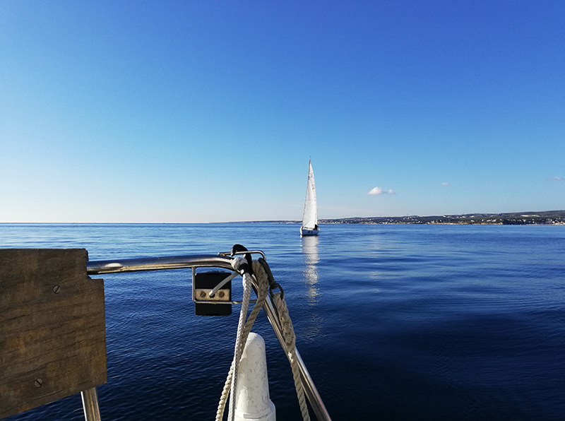 IMG_20190119_144614-web.jpg IMG_20190119_144614-web.jpg