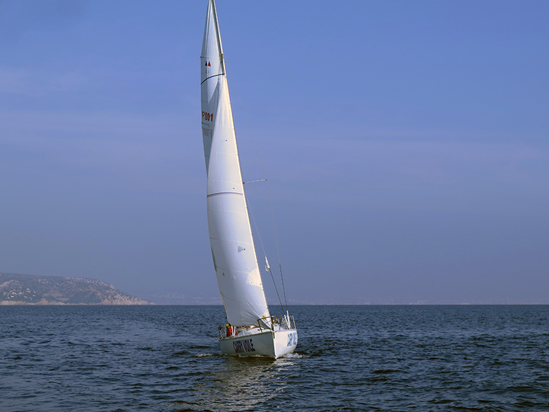 IMG_2807-R3-web.jpg IMG_2807-R3-web.jpg