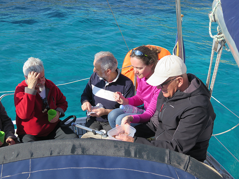 IMG_2800-web.jpg IMG_2800-web.jpg