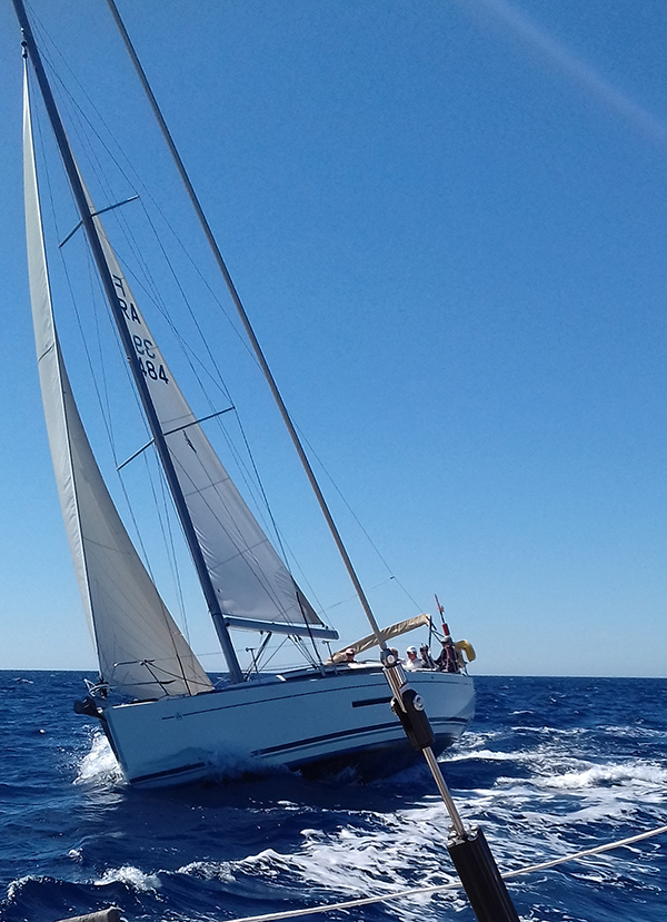 11-20190616_111524-web.jpg 11-20190616_111524-web.jpg