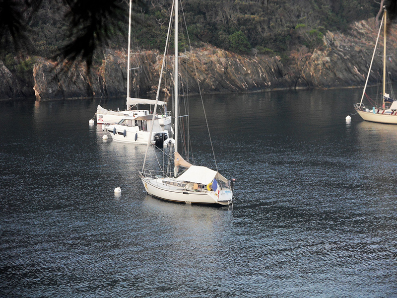 SDC16684-web.jpg SDC16684-web.jpg